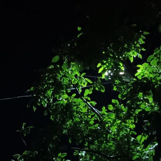 Логотип @helpforstudying - Nightcore music | Studying motivation | мотивационные цитаты