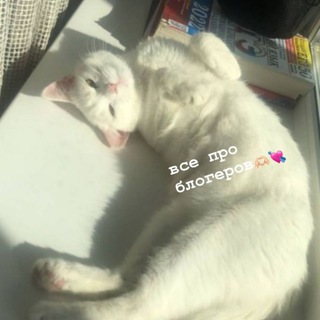 Логотип @helpfromseddy - Короче блогеры