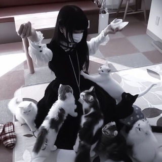 Логотип @helpiksooa - ᴨᴏʍᴏщь ᴏᴛ ᴄᴏᴧныɯᴇᴋ: