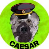 Логотип @helpinfb - помощь в фб!