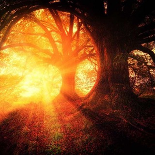 Логотип @helthylife1 - HEALTH & LIFESTYLE