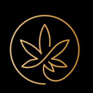 Логотип @hempicoru - Hempico News