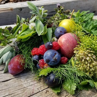 Логотип @herbalnaturalcures - Herbalism and Natural Cures