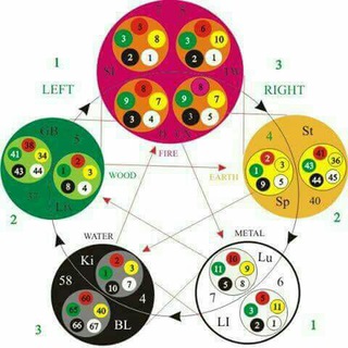 Логотип @herbalterapi - DISKUSI HERBAL & TERAPI
