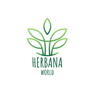Логотип @herbana_world - 🌿 Herbana.World | Справочник Лекарственных трав и растений