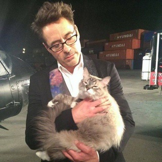 Логотип @hereistealmemes - сюда я ворую мемы