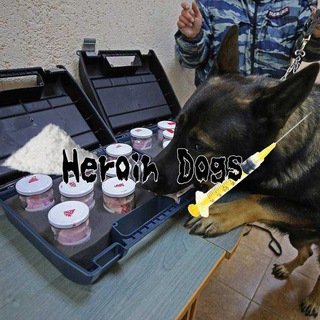 Логотип @heroindogsi - Heroin Dogs