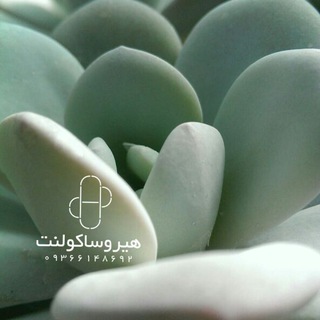 Логотип @herosucculent_group - گروه هیروساکولنت