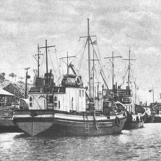 Логотип @hersonia_rus - Херсония Z