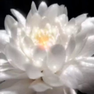 Логотип @herzenswahrheitendasoriginal - 𝕳𝖊𝖗𝖟𝖊𝖓𝖘𝖜𝖆𝖍𝖗𝖍𝖊𝖎𝖙𝖊𝖓DasOriginal 🪷🧚‍♀️♡☀️🕉☀️♡🧚🪷