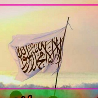 Логотип @hfggggfcwwwwxftfdgftgfrx667 - داستشهادډګر
