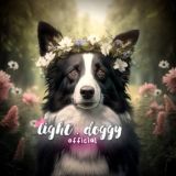 Логотип @hgfcggydr - продам