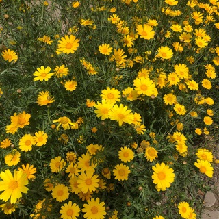 Логотип @hhh44321 - nah oh oh