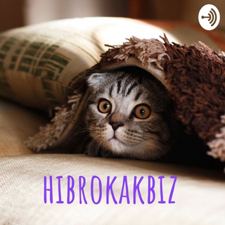 Логотип @hibrokakbiz - hibrokakbiz