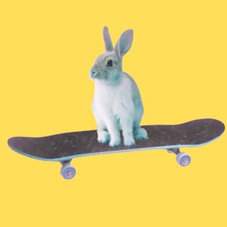 Логотип @highdmary - HighD 🕊