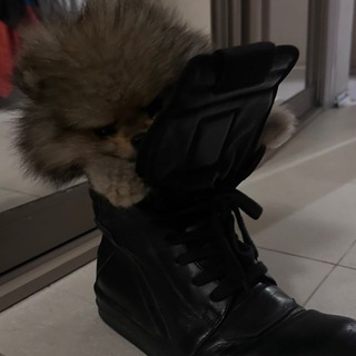 Логотип @highfashi0n - Kingdom Of High fashion