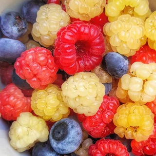 Логотип @highgastro - Заказы продуктов Гуш Дан, Израиль