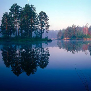 Логотип @highly_sensitive - It's okay to be highly sensitive