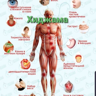 Логотип @hijoma_toshkent - Hijoma toshkent