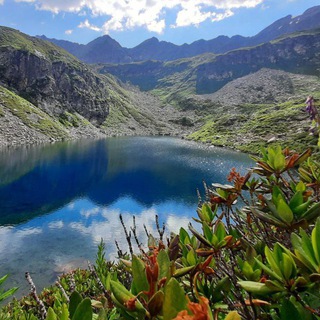 Логотип @hiking2023 - Туризм, Походы, Грибные туры