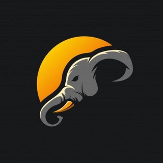 Логотип @hikkaduwa_srilanka - Шри-Ланка экскурсии гид Хиккадува Унаватуна Велигама Мирисса Бентона