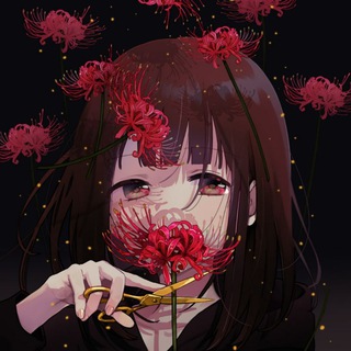 Логотип @hikkavine - 🎴hikkavine🎴