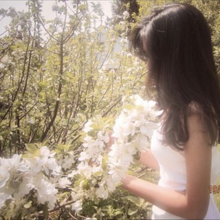 Логотип @hikohcn - истина солнца