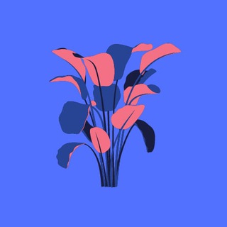 Логотип @himct - Химия ЦТ/ЦЭ