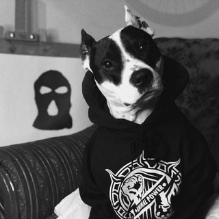 Логотип @hip_hap_world - Nongrata 🙅💀👌(для ценителей Андерграунда) заебешься слушать !