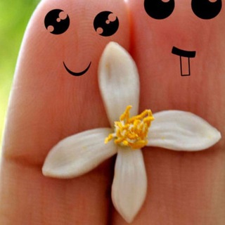 Логотип @hipach - Hipach/онлайн чат