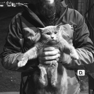 Логотип @hiraetn1 - D.