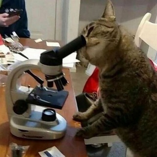 Логотип @histologyvnmu - Гіста🔬