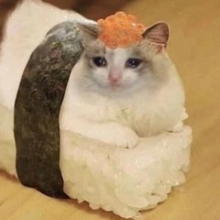 Логотип @historyandcats_chat - коты-историки огэ егэ / чат