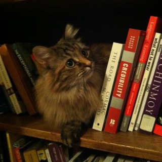 Логотип @historyolymp - ✨летопись олимпиадника📜