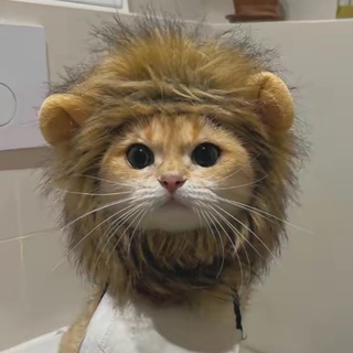 Логотип @hitarotyanki - хитаро тянки