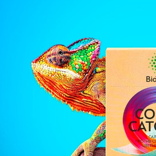 Логотип @hitwellnessru - Экология дома. Хит Вэлнэс