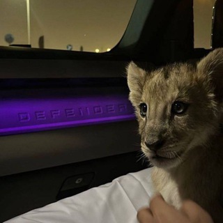 Логотип @hjkhggi - SKY | официальная группа гаранта