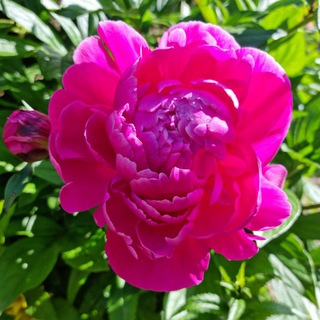 Логотип @hl_holy_land - HL Россия