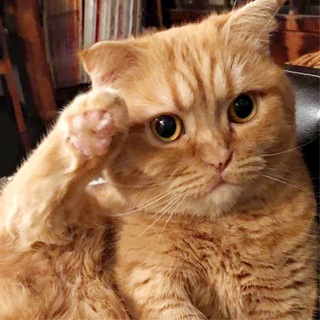 Логотип @hobaexclamationmark - Хоба!