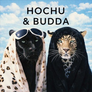 Логотип @hochuibudda - Hochu & Budda