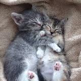 Логотип @hochusmetanku - кондиционеры оптом