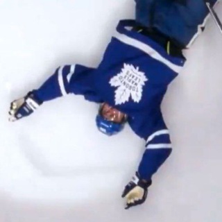 Логотип @hockeyhawk - ястребица хоккейная птица