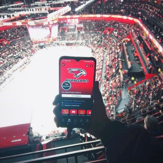 Логотип @hockeystandup - ХОККЕЙНЫЕ СТВОЛЫ 🪿