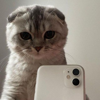 Логотип @hodseyvamp - Сила в девках💕