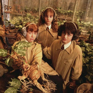 Логотип @hogwartsmyyhome - Нарезки и Моменты из ГП ✨