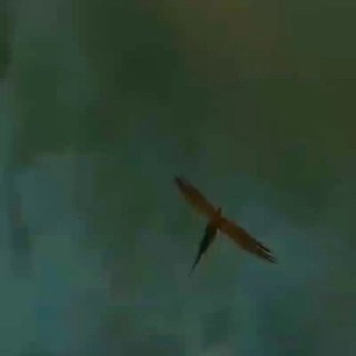 Логотип @hogwartsschoolofwizardry - ℌ𝔬𝔤𝔴𝔞𝔯𝔱𝔰 𝔰𝔠𝔥𝔬𝔬𝔩🤍📰