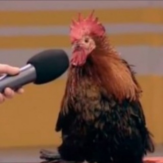 Логотип @hohomems - Hohomem😂