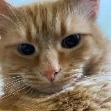 Логотип @hokahed - Улицы не спят