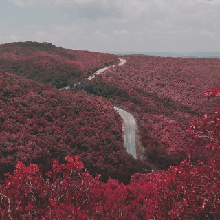 Логотип @hokku_huekku - Хокку - хуёкку и капелька кендо