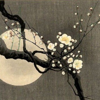 Логотип @hokkynero - Хокку нейросетей